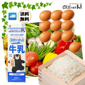 新鮮 野菜セット　九州産10品 おまけのお野菜5～7品 野菜詰め合わせ 九州の市場から新鮮野菜をお届けします。お試し