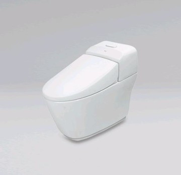 INAX雙漩渦兩段式單體馬桶30cm/AC-1032VN-TW /BW1