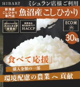 魚沼産こしひかり HIBARI 30kg (5kg×6袋) 白米   玄米 選択可 ミシュラン店御用達 コシヒカリ ひばり hibari 米 新潟県産