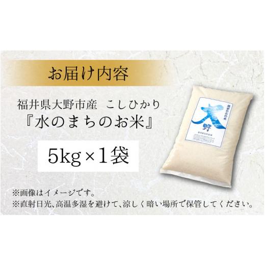 ふるさと納税 福井県 大野市 こしひかり（福井県大野市産）エコファーマー米（白米）5kg