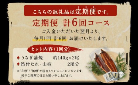 鰻天屋の 九州産 うなぎ 蒲焼 約140g×2尾 セット