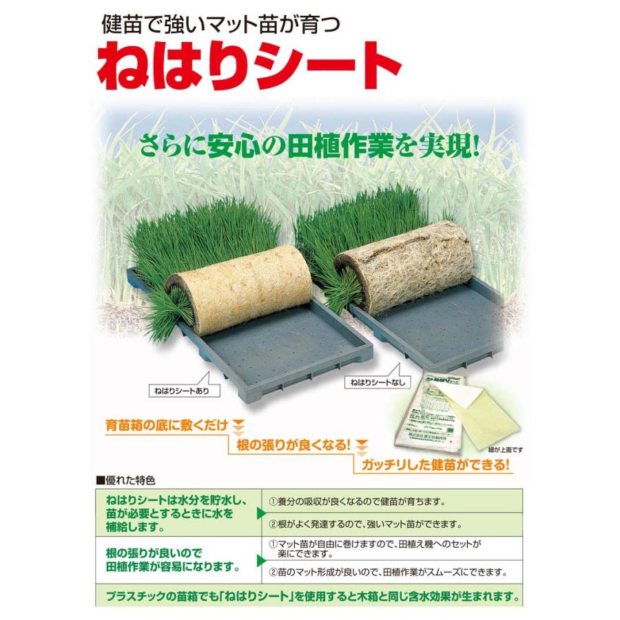 根の張りが良くなる 20枚 ねはりシート 使い捨てタイプ 健苗シート 育苗箱専用 敷紙 育苗箱 苗箱 紙 シート 下敷き 保水 育苗 水稲 稲苗 稲作 啓文社 オKZ