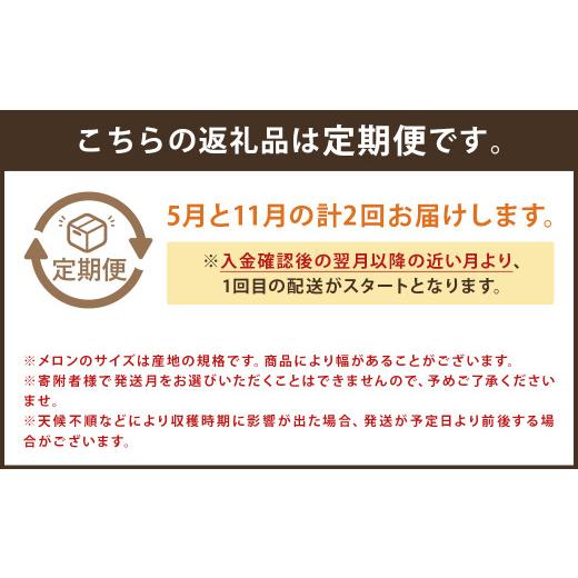 ふるさと納税 熊本県 菊池市 つるたファームから旬のお届け便 Green(自然栽培米 5kg・肥後グリーンメロン 2玉)