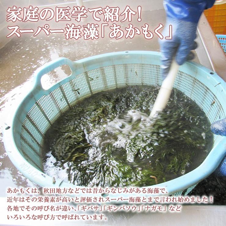 気仙沼 めかぶ あかもく (36パック タレ付) 丸繁商店 東北 気仙沼 メカブ ギバサ 無添加 ヘルシー ごはんのおとも ギフト めかぶとあかもく