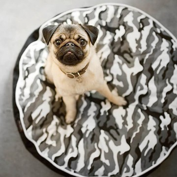 【預購】【頂級寵物床墊】迷彩風 圓床 (2色/3尺寸)