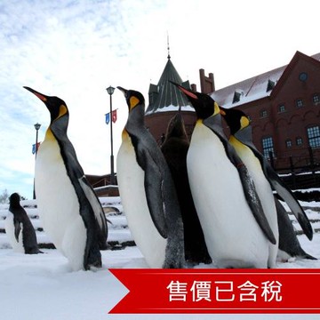 北海道冬季函館纜車.雪盆戲雪.海洋公園.企鵝遊行.五稜郭.小樽運河.溫泉美食五日_26CTS06961