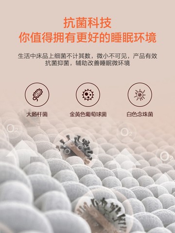 水星家紡樂膚絨床墊軟墊家用抗菌床褥墊背睡墊床上用品2021新品
