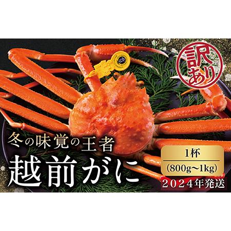 ふるさと納税 越前がに（オス）「ずわいがに」大サイズ（800g-1kg） 訳あり 1杯 福井県越前市