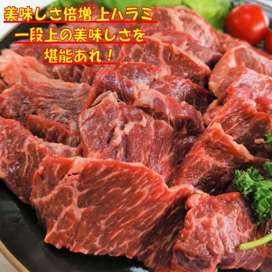 肉 牛タン バーベキュー 食材 牛肉 焼肉セット BBQ 肉 ギフト 食品ギフト セット 牛ハラミ牛カルビ 豚バラ 豚トロ 焼肉 3.5kg  8〜12人前