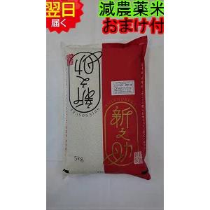 新潟県長岡産　新之助　減農薬米　白米または玄米　5kg　送料無料　※北海道、沖縄はプラス送料かかります。