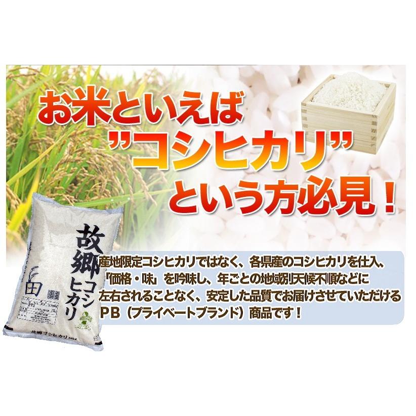 新米 米 20kg 10kg×2袋 送料無料 コシヒカリ 白米 国内産 故郷コシヒカリ令和5年産