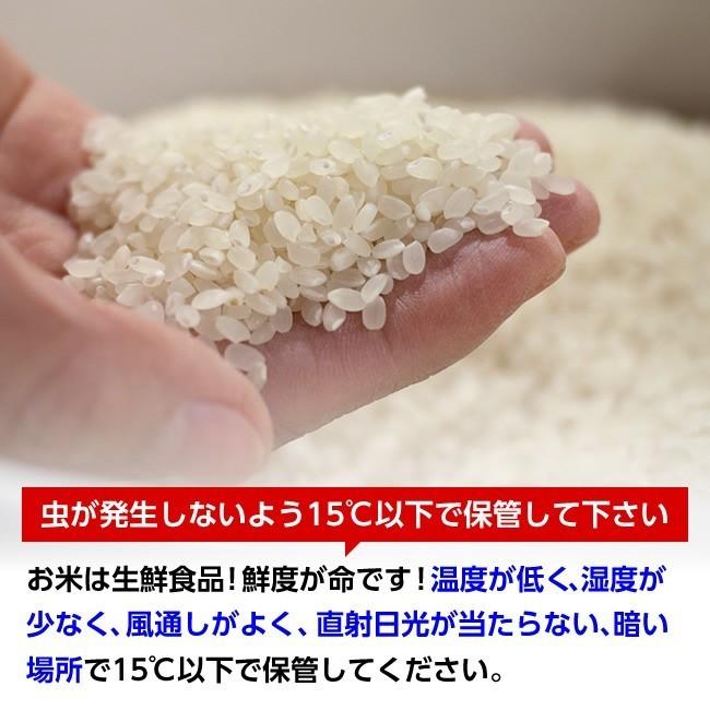 令和5年産 山形県産 雪若丸 玄米20kg