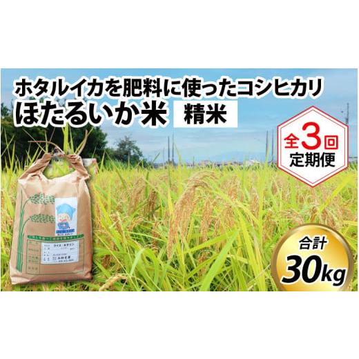 ふるさと納税 富山県 滑川市 ほたるいか米（精米10kg）×3回 計30kg