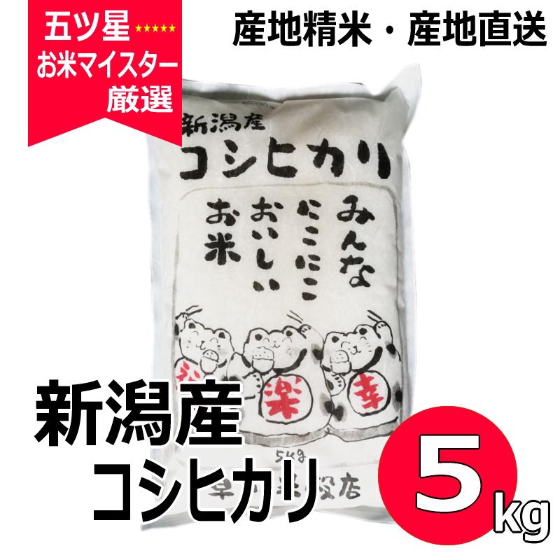 コシヒカリ 5kg 新潟県産コシヒカリ 送料無料 令和5年産 新米