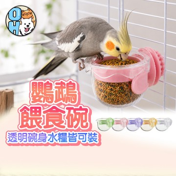 【歐豆K】鸚鵡餵食碗 懸掛食盆 寵物食杯 飼料碗 透明水碗 飼料杯 防潑灑飼料盒 鸚鵡飼料盒 鳥用飼料盒 鳥用食碗