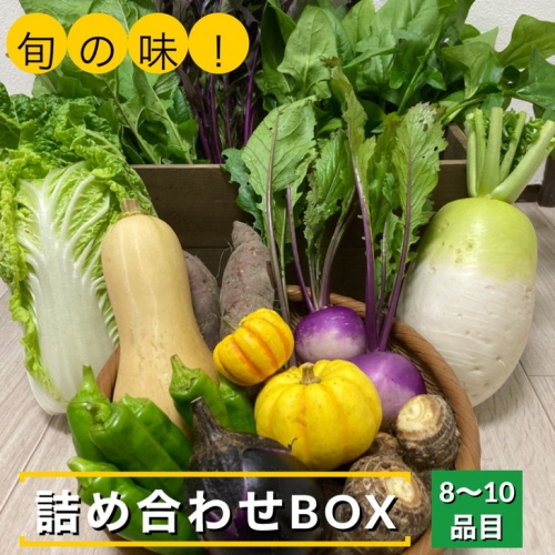 旬の味！お野菜 詰め合わせ BOX 8～10品目（栽培期間中 農薬・化学肥料不使用） 京都 亀岡 京野菜 農家より直送