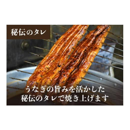 ふるさと納税 新潟県 加茂市 うなぎ蒲焼き 150〜180g×3尾 炭火焼き 国産 ウナギ 鰻 蒲焼 ギフト 贈答 加茂市 日本料理きふね《たれ18g…