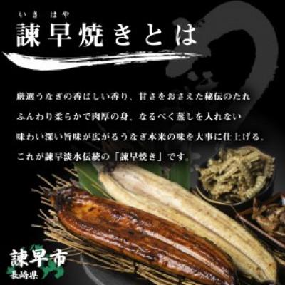 ふるさと納税 諫早市 うなぎ まるごとセット