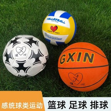 皮球籃球感統訓練器材小學戶外體育運動幼兒園寶寶早教兒童玩具