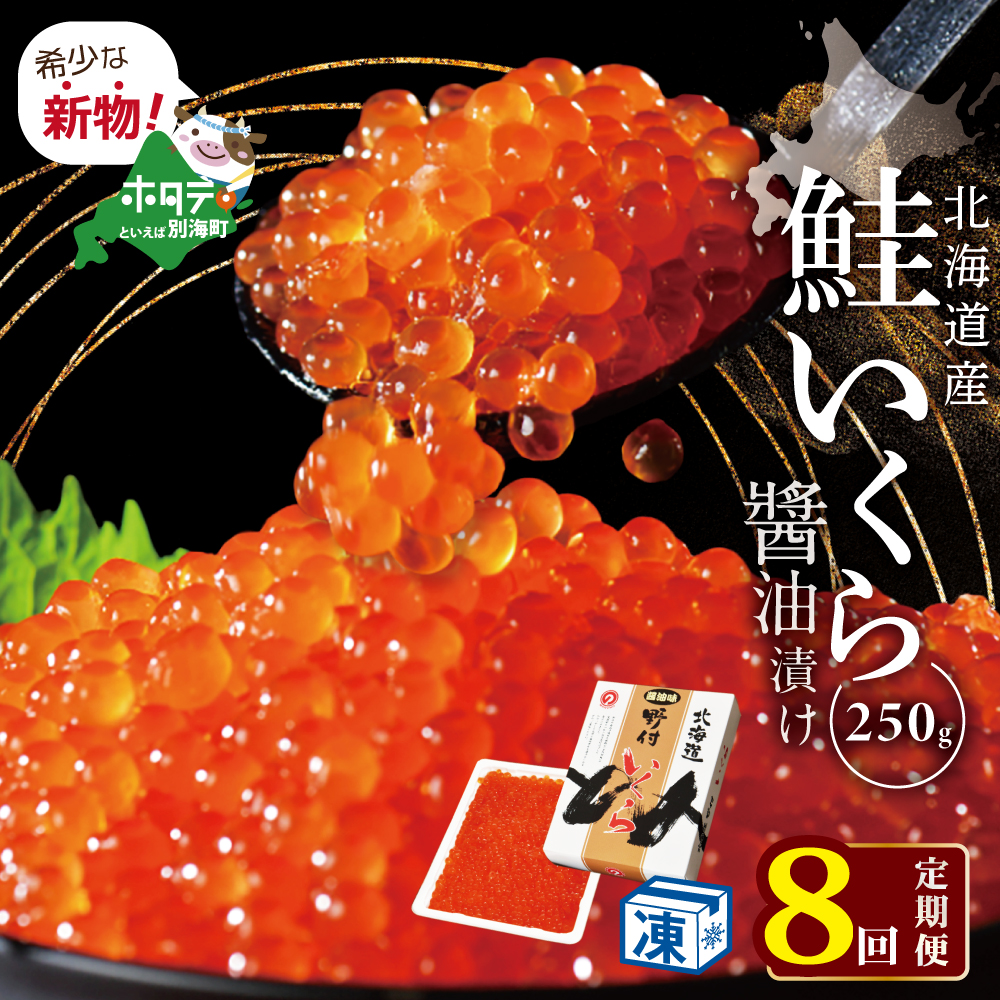 希少な新物いくら！計2kg 8ヵ月 定期便 漁協 直送！本場「北海道」 いくら 醤油漬け