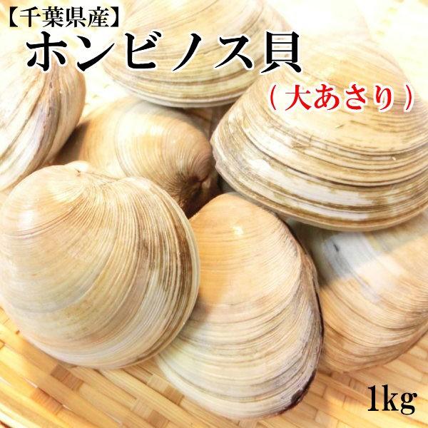 ホンビノス貝　大あさり  1kg 　鮮度抜群！ 大粒　蛤 （約９〜1２個入り）・ホンビノス貝・