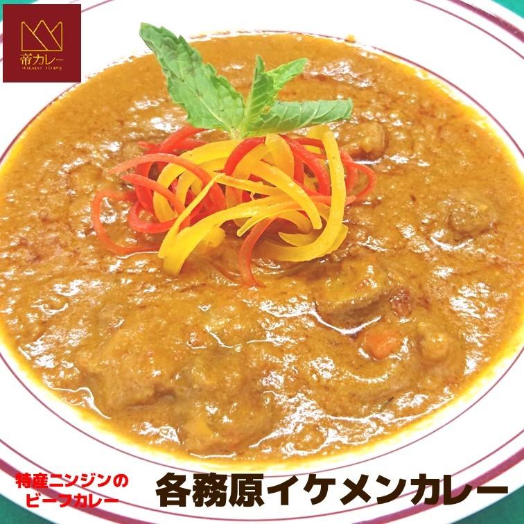 各務原イケメンカレー5袋セット（カレー200g 5袋）