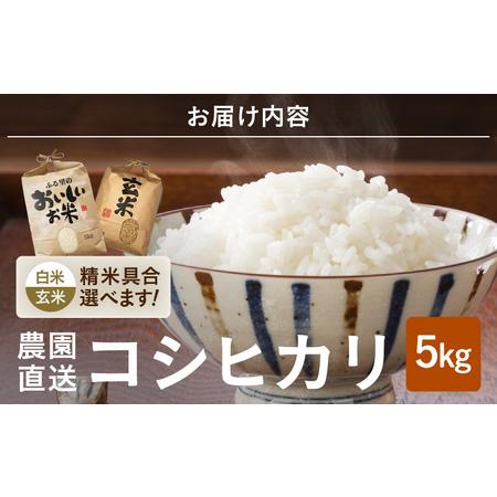 ふるさと納税  コシヒカリ 5kg 〜本原農園からまごころコメて〜 [A-8902_02]  福井県坂井市