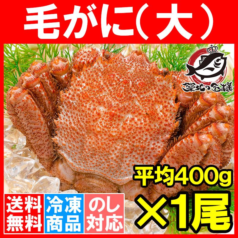 送料無料 毛ガニ 毛がに 毛蟹 浜茹で 毛ガニ姿 平均 400g ×1尾