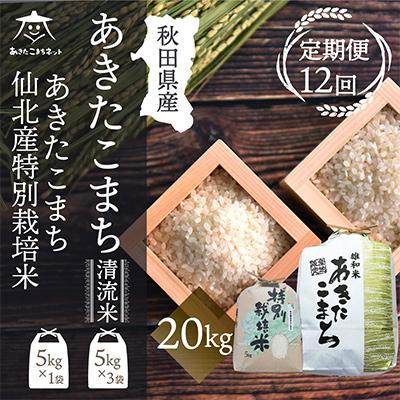 ふるさと納税 秋田市 秋田県産あきたこまち15kg・仙北こまち特栽米5kg食べ比べセット全12回