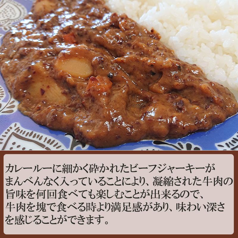 テングビーフジャーキーカレー レギュラー 中辛 200g レトルトカレー 天狗 電子レンジ対応