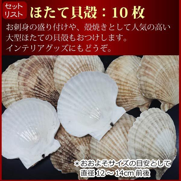 ホタテ お刺身セット お刺身用 生貝柱 1kg ほたてヒモ 150g ホタテ貝殻4枚 北海道 野付産 北海道産 父の日