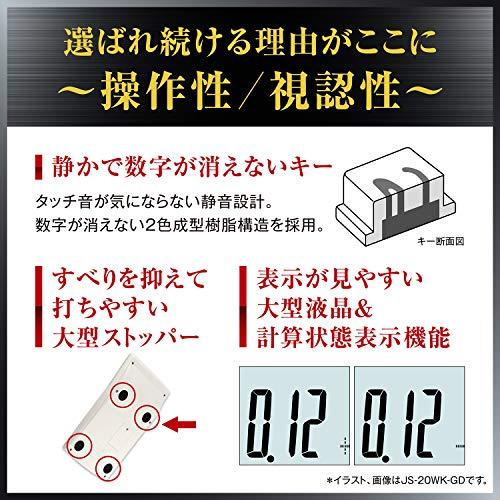 カシオ 本格実務電卓 12桁 検算機能 グリーン購入法適合 デスクタイプ DS-20WK-N