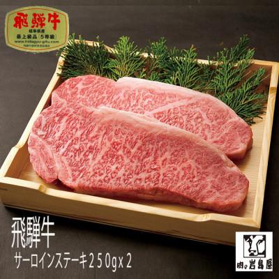 ふるさと納税 恵那市 飛騨牛サーロインステーキ(A5ランク)250g×2枚