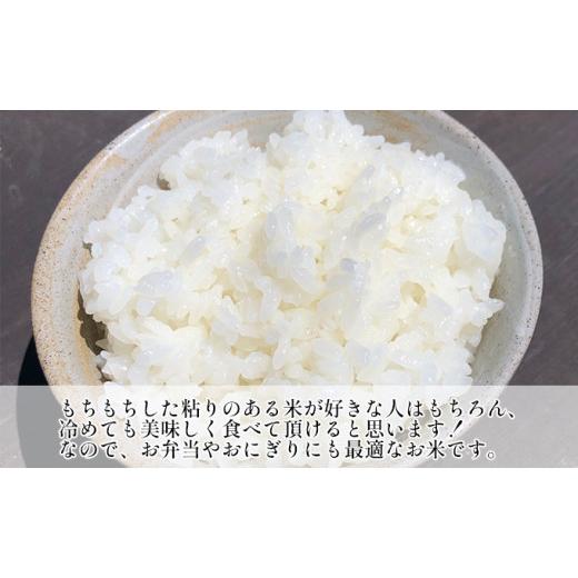 ふるさと納税 千葉県 千葉市 千葉産 令和5年 ミルキークィーン 乾式無洗米 10kg（5kg×2）×3ヶ月【定期便 お米 ご飯 モチモチ 粘り お弁…