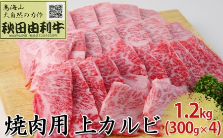 秋田由利牛 焼肉用 上カルビ 1.2kg（300g×4パック 焼き肉）