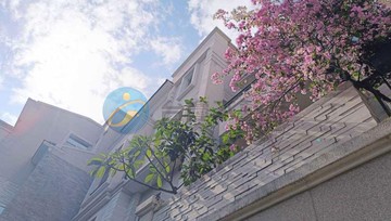 永康南附中面公園歐風大面寬孝親雙車墅｜台南市永康區永興路