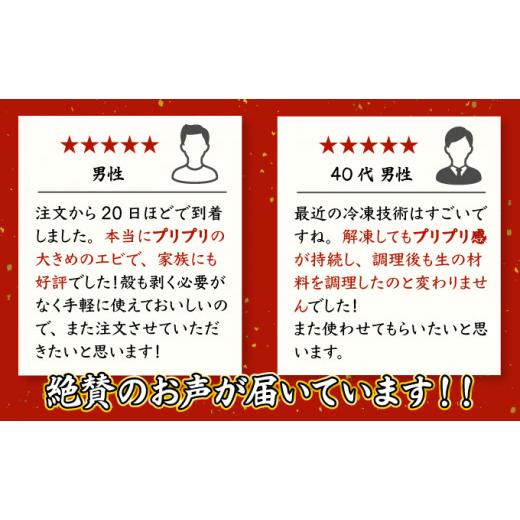 ふるさと納税 佐賀県 上峰町 海老専門店の 1kg 約85尾(定期便6回) G-181