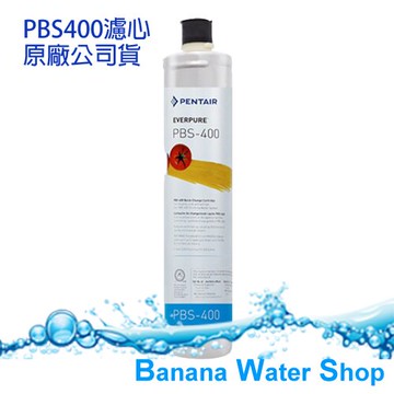 【公司貨盒裝，免運到府+贈餘氯測試液】Everpure PBS300 淨水濾心【除鉛抑菌型】
