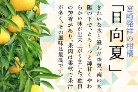 日向夏 種なし 5kg 先行受付 2024年発送 ニューサマーオレンジ 柑橘 ギフト 贈答 送料無料（14-60）