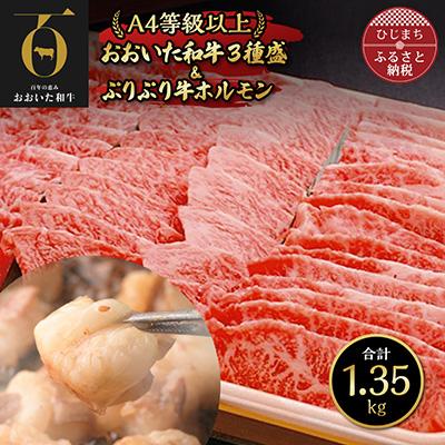 ふるさと納税 日出町 おおいた和牛3種盛ぷりぷり牛ホルモン(合計1.3kg) 焼くだけで本格焼き肉の味