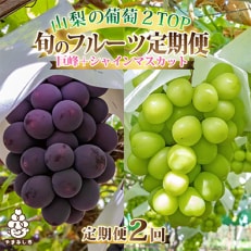 山梨県産人気果物2種 種無し巨峰・シャインマスカット全2回