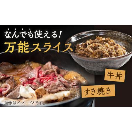 ふるさと納税 長崎和牛 特選 切り落とし 600g   お手頃 一万円 焼肉 肉 牛肉 お手頃 焼肉 すき焼き 肉 牛肉切り落とし 牛肉 和牛切り落とし肉 切.. 長崎県川棚町