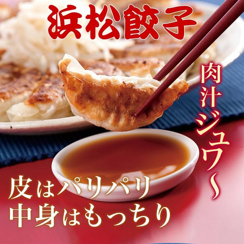 　国産うなぎの最高峰　浜名湖うなぎ総重量約160g（カット蒲焼80g×2)  B級グルメ代表 浜松餃子600g（20g×30粒）