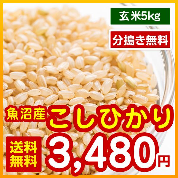 極上米 魚沼産 コシヒカリ 玄米 5kg 分搗き無料 令和5年産 送料無料 （※北海道・沖縄・離島を除く）お米 米