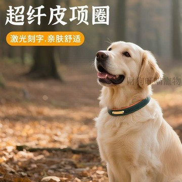 💕在臺出貨🔥狗狗寵物狗項圈定製刻字貓咪大型犬脖圈牽引繩狗牌小型寵物頸圈