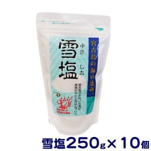 雪塩250g×10個　│ソルト│