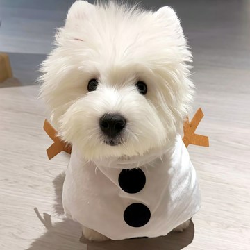 新上架👉小狗雪人衣服！寵物聖誕節直立服裝小型犬變身裝貓咪服飾拍照道具交換禮物 送朋友禮物