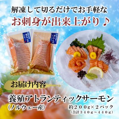 ふるさと納税 三浦市 サーモンお刺身セット