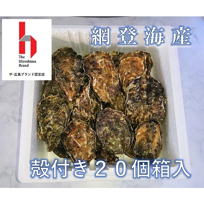 広島ブランド牡蠣☆殻付き２０個箱入（加熱調理用）レシピ付き　網登海産