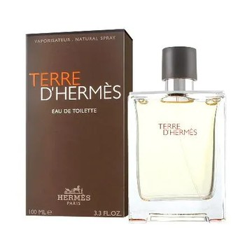 HERMES愛馬仕 大地男性淡香水 100ml_國際航空版